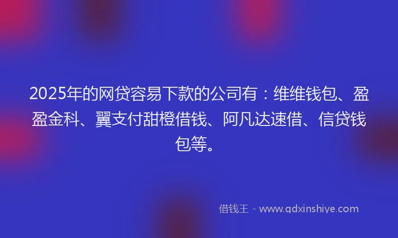 2025年的网贷容易下款的公司有：维维钱包、盈盈金科、翼支付甜橙借钱、阿凡达速借、信贷钱包等。