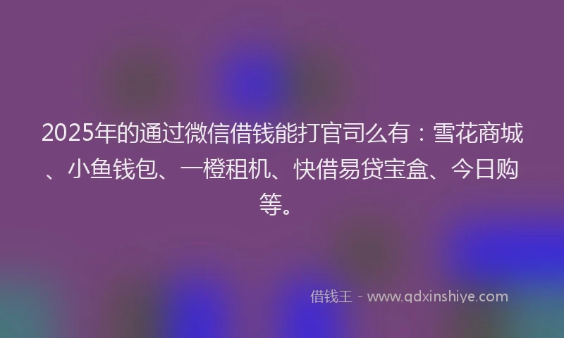 2025年的通过微信借钱能打官司么有：雪花商城、小鱼钱包、一橙租机、快借易贷宝盒、今日购等。