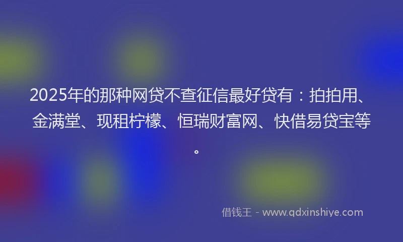 2025年的那种网贷不查征信最好贷有：拍拍用、金满堂、现租柠檬、恒瑞财富网、快借易贷宝等。