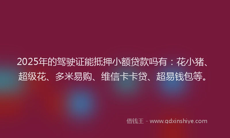 2025年的驾驶证能抵押小额贷款吗有：花小猪、超级花、多米易购、维信卡卡贷、超易钱包等。