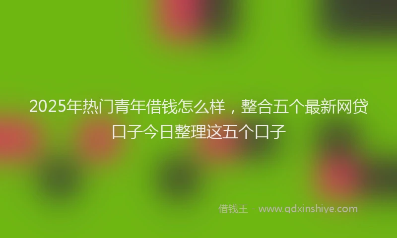 2025年热门青年借钱怎么样，整合五个最新网贷口子今日整理这五个口子