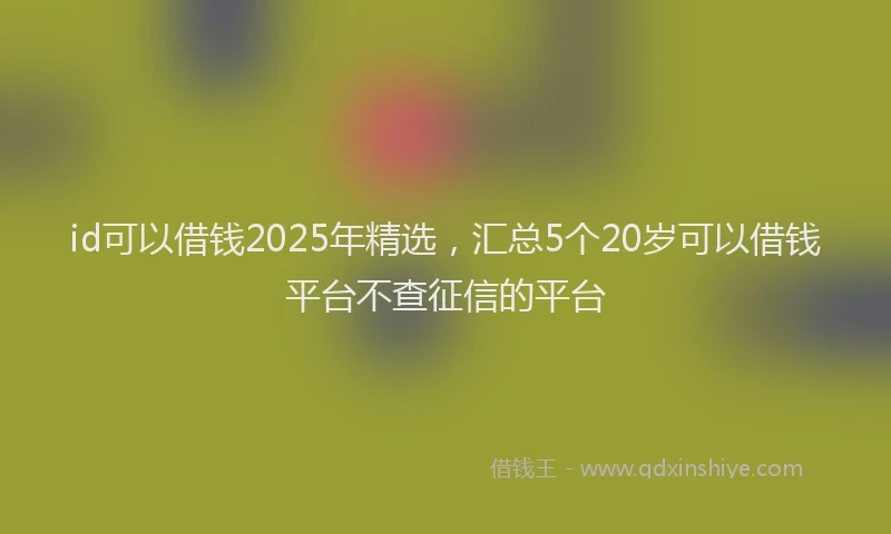 id可以借钱2025年精选，汇总5个20岁可以借钱平台不查征信的平台