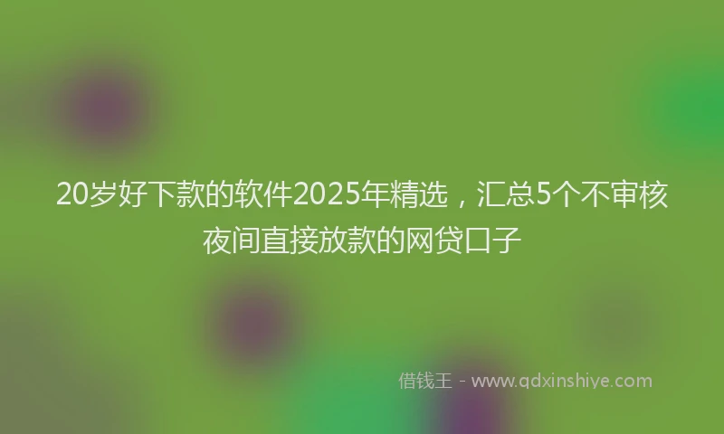 20岁好下款的软件2025年精选，汇总5个不审核夜间直接放款的网贷口子