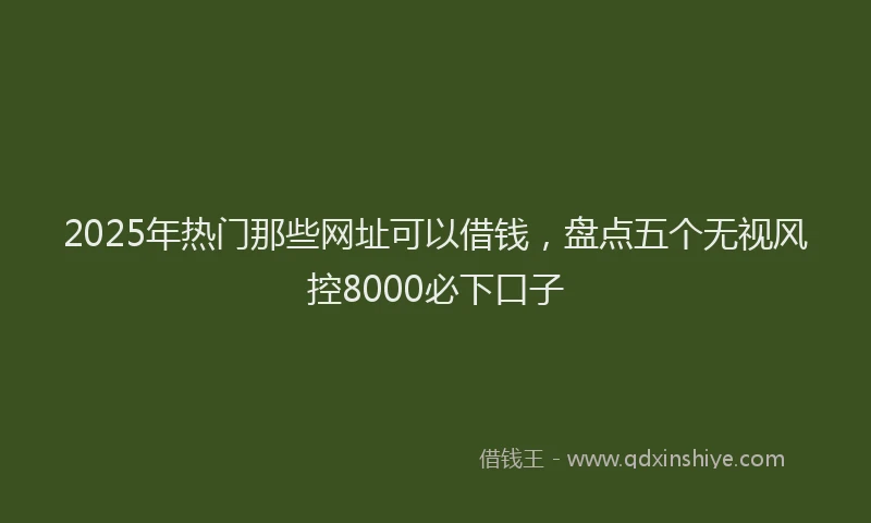 2025年热门那些网址可以借钱，盘点五个无视风控8000必下口子