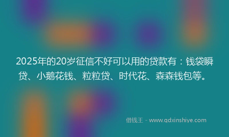 2025年的20岁征信不好可以用的贷款有：钱袋瞬贷、小鹅花钱、粒粒贷、时代花、森森钱包等。