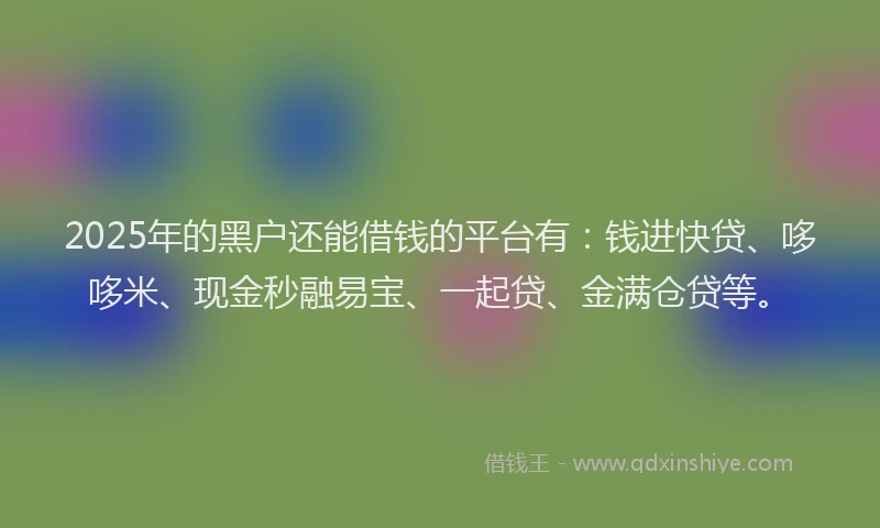 2025年的黑户还能借钱的平台有：钱进快贷、哆哆米、现金秒融易宝、一起贷、金满仓贷等。