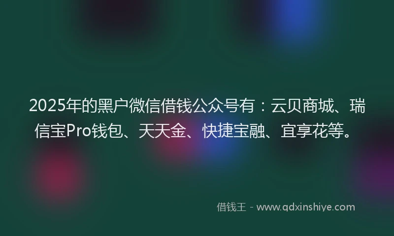 2025年的黑户微信借钱公众号有:云贝商城、瑞信宝Pro钱包、天天金、快捷宝融、宜享花等。