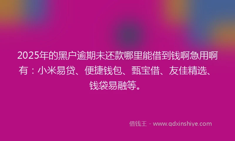 2025年的黑户逾期未还款哪里能借到钱啊急用啊有：小米易贷、便捷钱包、甄宝借、友佳精选、钱袋易融等。