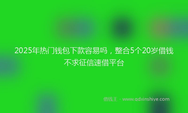 2025年热门钱包下款容易吗，整合5个20岁借钱不求征信速借平台