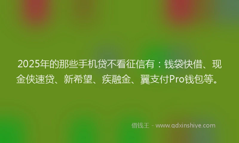 2025年的那些手机贷不看征信有：钱袋快借、现金侠速贷、新希望、疾融金、翼支付Pro钱包等。