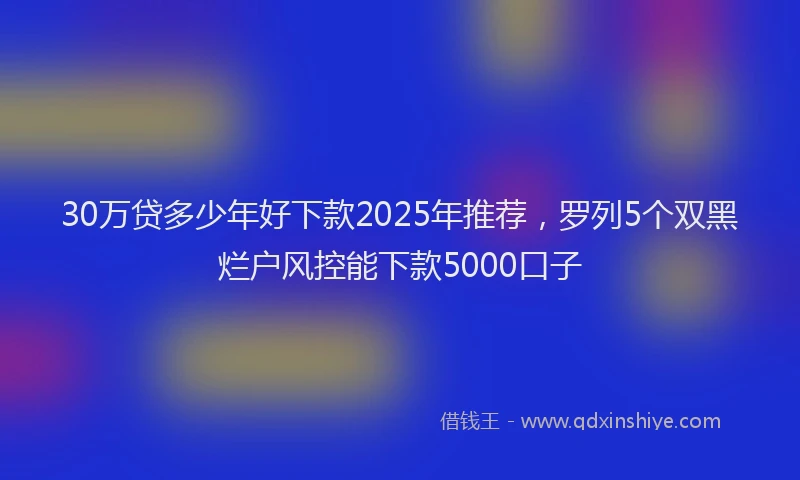 30万贷多少年好下款2025年推荐，罗列5个双黑烂户风控能下款5000口子