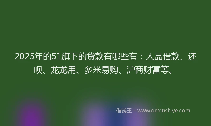 2025年的51旗下的贷款有哪些有：人品借款、还呗、龙龙用、多米易购、沪商财富等。