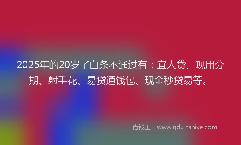 2025年的20岁了白条不通过有：宜人贷、现用分期、射手花、易贷通钱包、现金秒贷易等。
