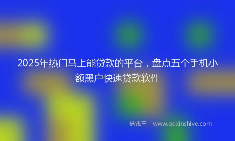2025年热门马上能贷款的平台，盘点五个手机小额黑户快速贷款软件