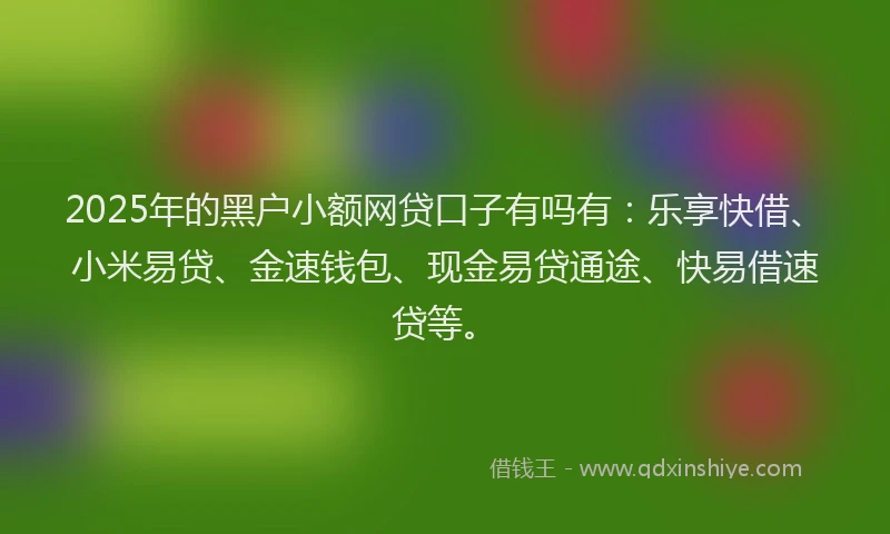 2025年的黑户小额网贷口子有吗有：乐享快借、小米易贷、金速钱包、现金易贷通途、快易借速贷等。