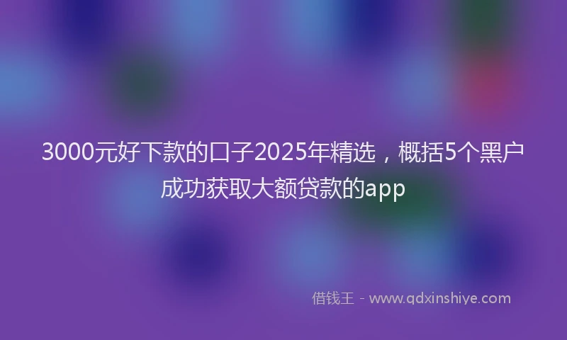 3000元好下款的口子2025年精选，概括5个黑户成功获取大额贷款的app