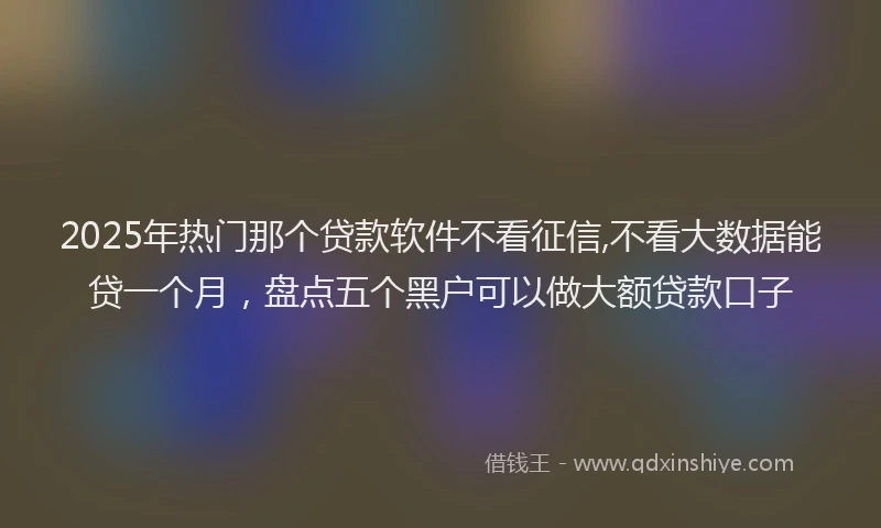 2025年热门那个贷款软件不看征信,不看大数据能贷一个月，盘点五个黑户可以做大额贷款口子
