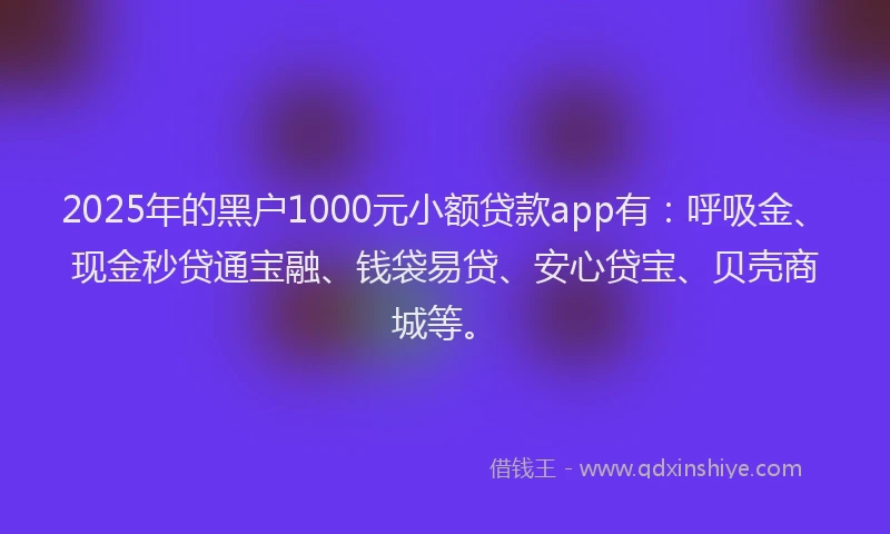 2025年的黑户1000元小额贷款app有：呼吸金、现金秒贷通宝融、钱袋易贷、安心贷宝、贝壳商城等。