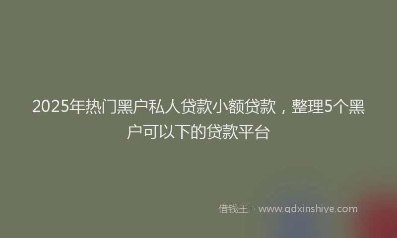 2025年热门黑户私人贷款小额贷款，整理5个黑户可以下的贷款平台