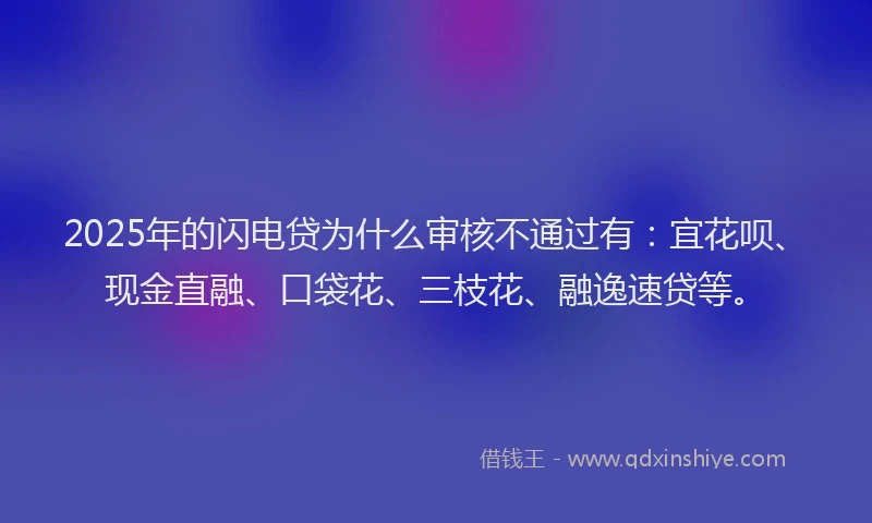 2025年的闪电贷为什么审核不通过有：宜花呗、现金直融、口袋花、三枝花、融逸速贷等。