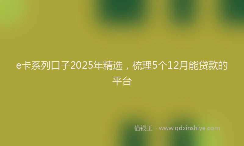 e卡系列口子2025年精选，梳理5个12月能贷款的平台