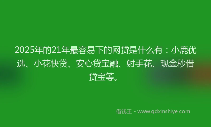 2025年的21年最容易下的网贷是什么有：小鹿优选、小花快贷、安心贷宝融、射手花、现金秒借贷宝等。