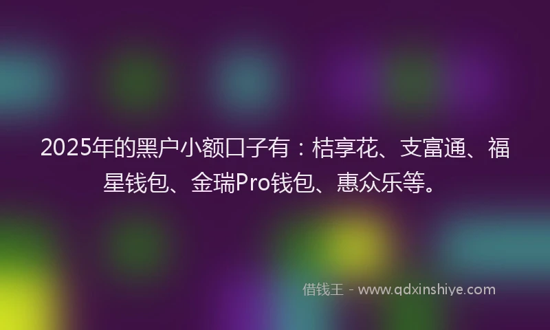 2025年的黑户小额口子有：桔享花、支富通、福星钱包、金瑞Pro钱包、惠众乐等。