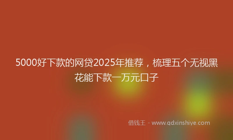 5000好下款的网贷2025年推荐，梳理五个无视黑花能下款一万元口子