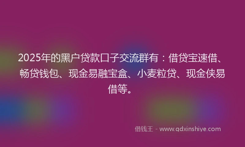 2025年的黑户贷款口子交流群有：借贷宝速借、畅贷钱包、现金易融宝盒、小麦粒贷、现金侠易借等。