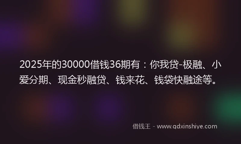 2025年的30000借钱36期有：你我贷-极融、小爱分期、现金秒融贷、钱来花、钱袋快融途等。