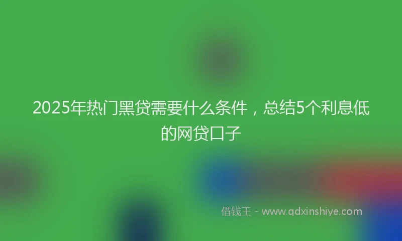 2025年热门黑贷需要什么条件，总结5个利息低的网贷口子