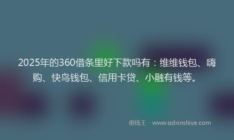 2025年的360借条里好下款吗有：维维钱包、嗨购、快鸟钱包、信用卡贷、小融有钱等。
