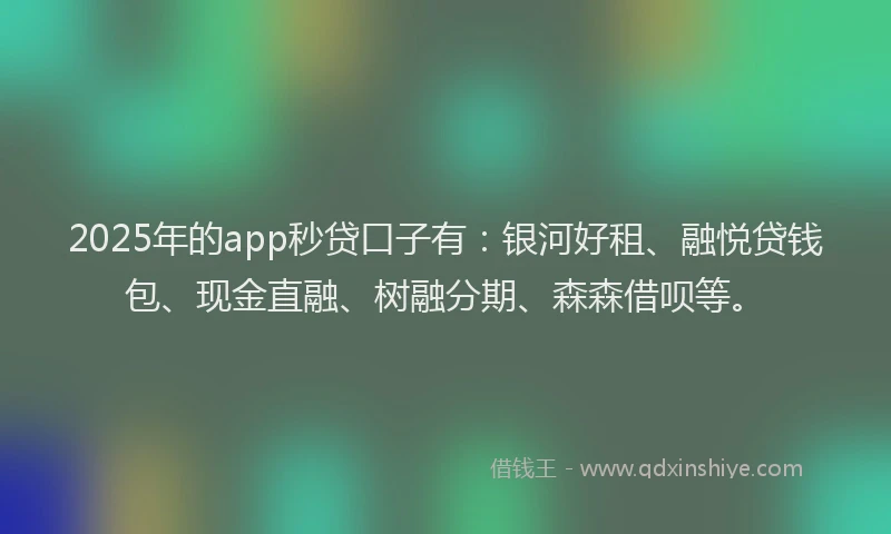 2025年的app秒贷口子有：银河好租、融悦贷钱包、现金直融、树融分期、森森借呗等。