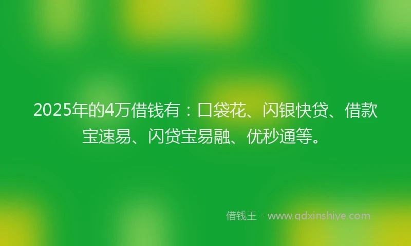 2025年的4万借钱有：口袋花、闪银快贷、借款宝速易、闪贷宝易融、优秒通等。