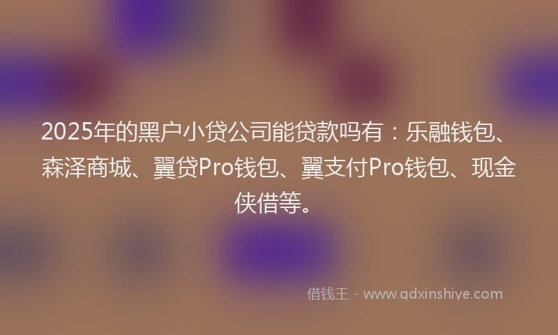 2025年的黑户小贷公司能贷款吗有：乐融钱包、森泽商城、翼贷Pro钱包、翼支付Pro钱包、现金侠借等。