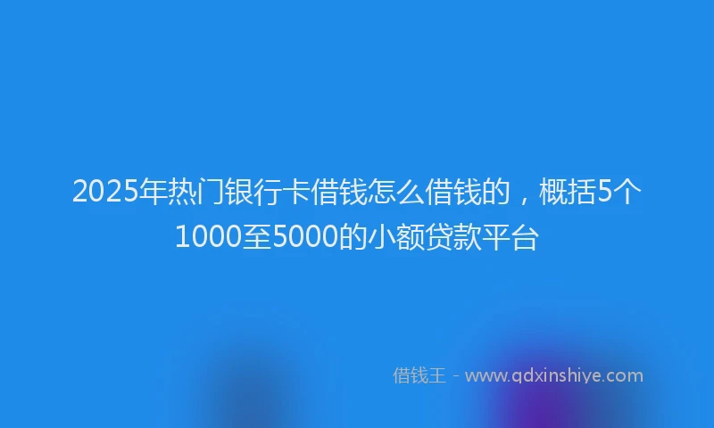 2025年热门银行卡借钱怎么借钱的，概括5个1000至5000的小额贷款平台