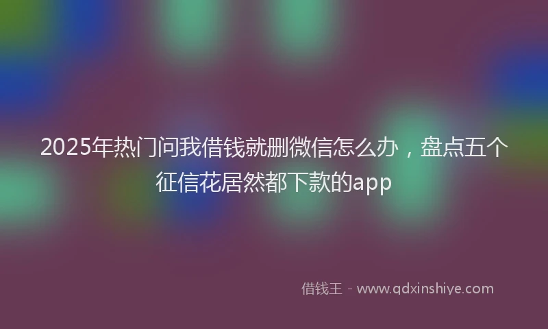 2025年热门问我借钱就删微信怎么办，盘点五个征信花居然都下款的app