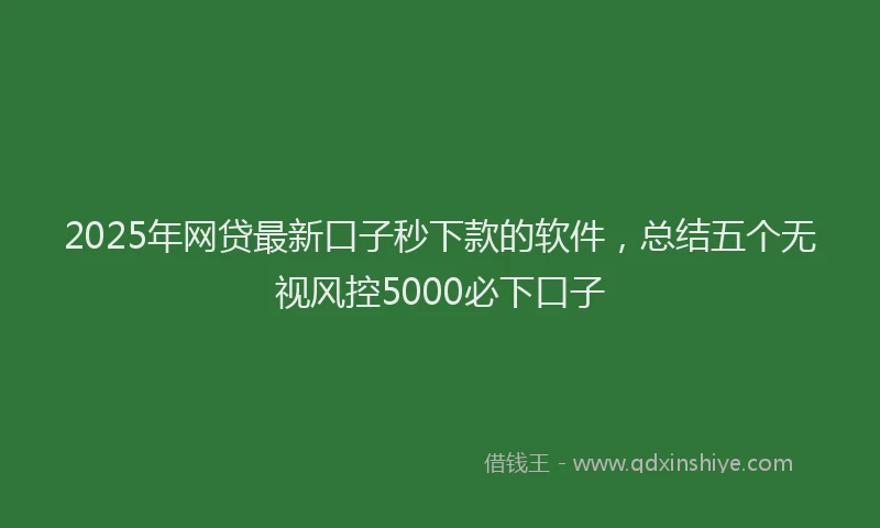 2025年网贷最新口子秒下款的软件，总结五个无视风控5000必下口子
