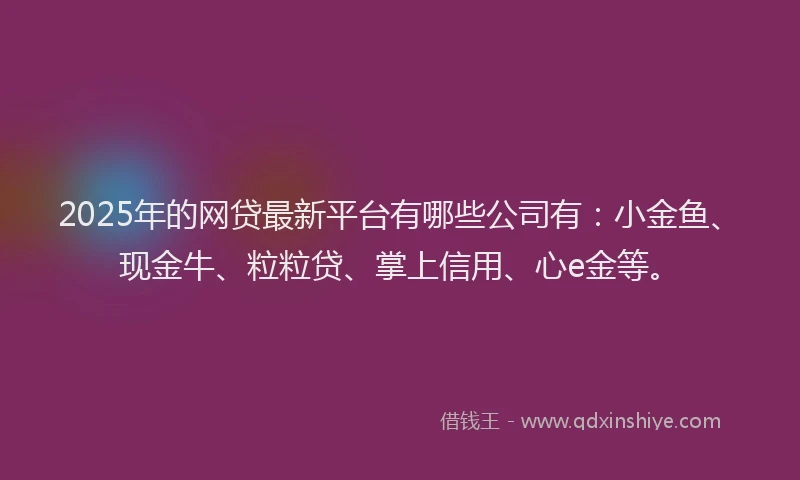 2025年的网贷最新平台有哪些公司有：小金鱼、现金牛、粒粒贷、掌上信用、心e金等。