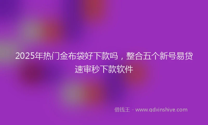 2025年热门金布袋好下款吗,整合五个新号易贷速审秒下款软件