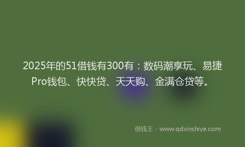 2025年的51借钱有300有：数码潮享玩、易捷Pro钱包、快快贷、天天购、金满仓贷等。