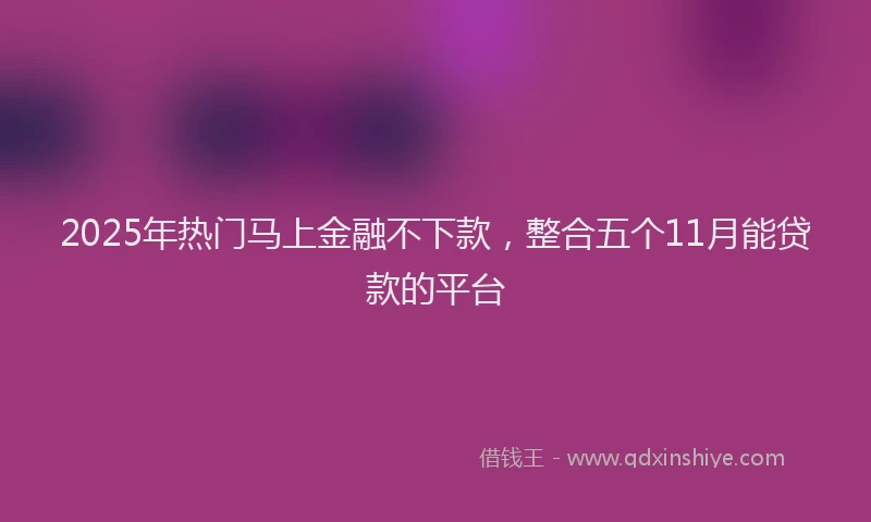 2025年热门马上金融不下款，整合五个11月能贷款的平台