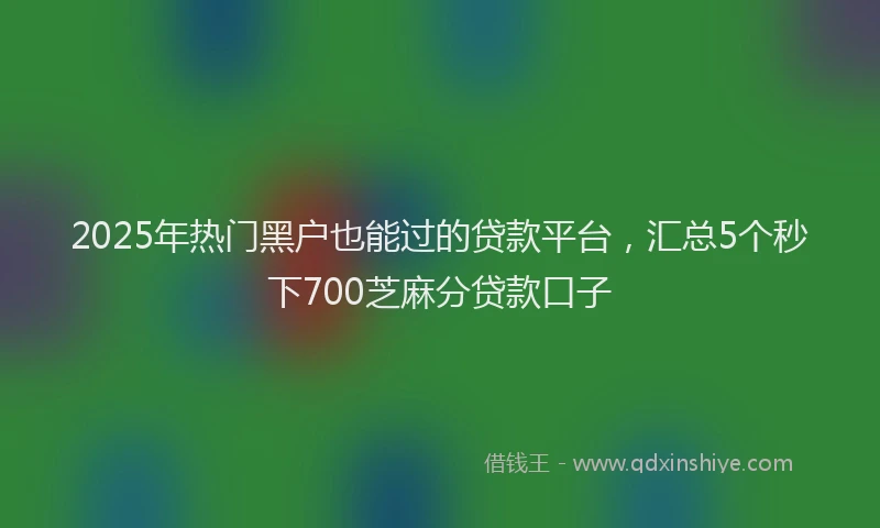2025年热门黑户也能过的贷款平台，汇总5个秒下700芝麻分贷款口子