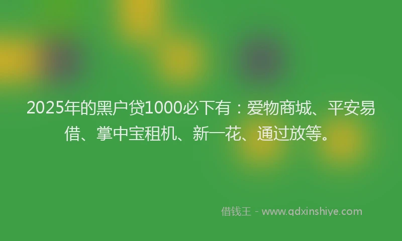 2025年的黑户贷1000必下有：爱物商城、平安易借、掌中宝租机、新一花、通过放等。