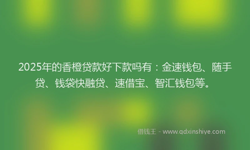2025年的香橙贷款好下款吗有:金速钱包、随手贷、钱袋快融贷、速借宝、智汇钱包等。