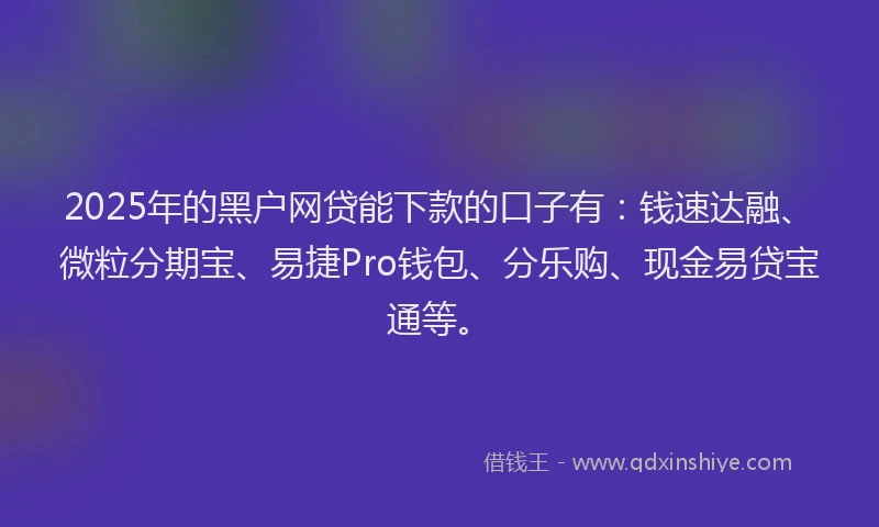 2025年的黑户网贷能下款的口子有：钱速达融、微粒分期宝、易捷Pro钱包、分乐购、现金易贷宝通等。