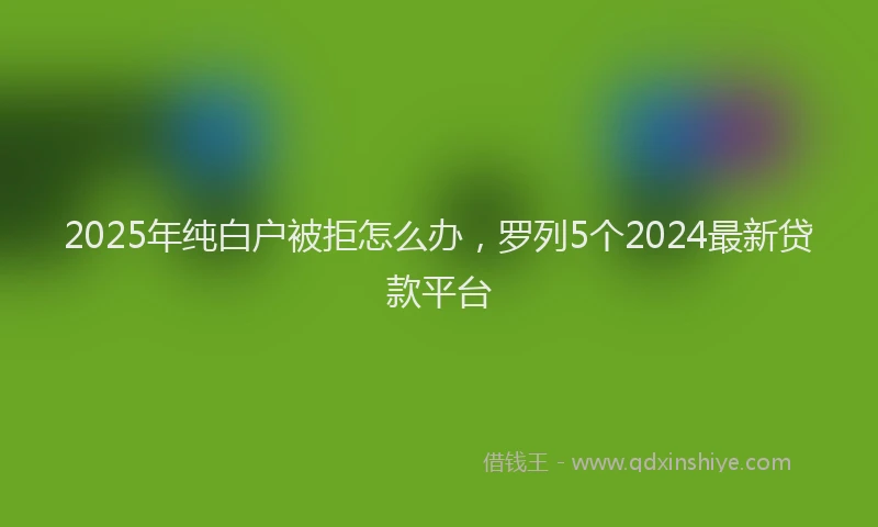 2025年纯白户被拒怎么办，罗列5个2024最新贷款平台