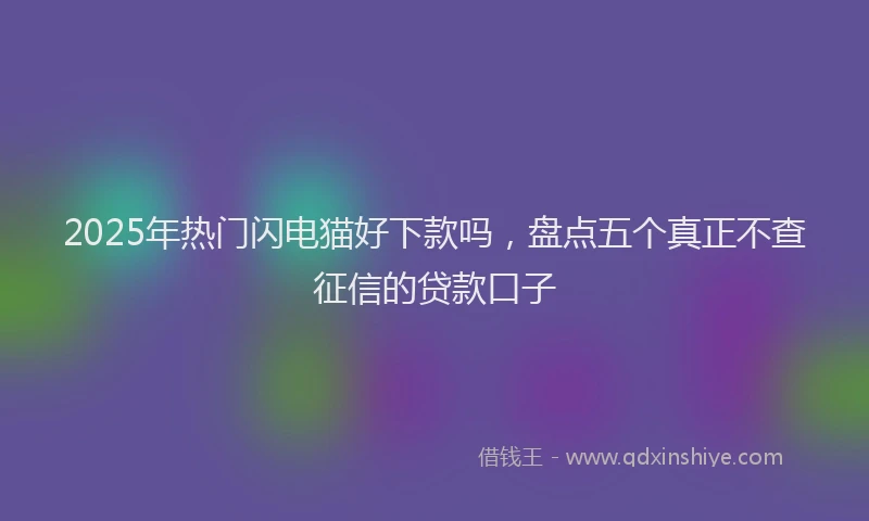 2025年热门闪电猫好下款吗,盘点五个真正不查征信的贷款口子