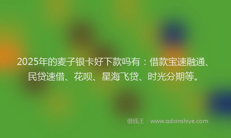 2025年的麦子银卡好下款吗有：借款宝速融通、民贷速借、花呗、星海飞贷、时光分期等。