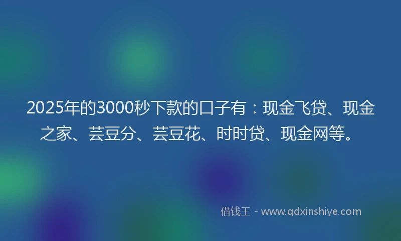 2025年的3000秒下款的口子有：现金飞贷、现金之家、芸豆分、芸豆花、时时贷、现金网等。